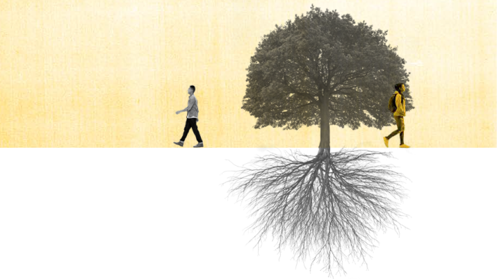 a tree, with visible deep roots and two students walking in different directions 