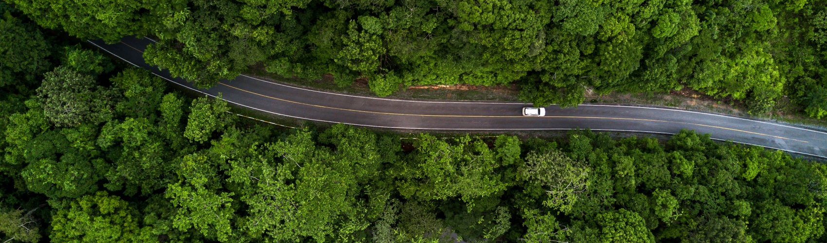 Aerial view asphalt road and green forest, Forest road going through forest with car adventure view from above, Ecosystem and ecology healthy environment concepts and background. 