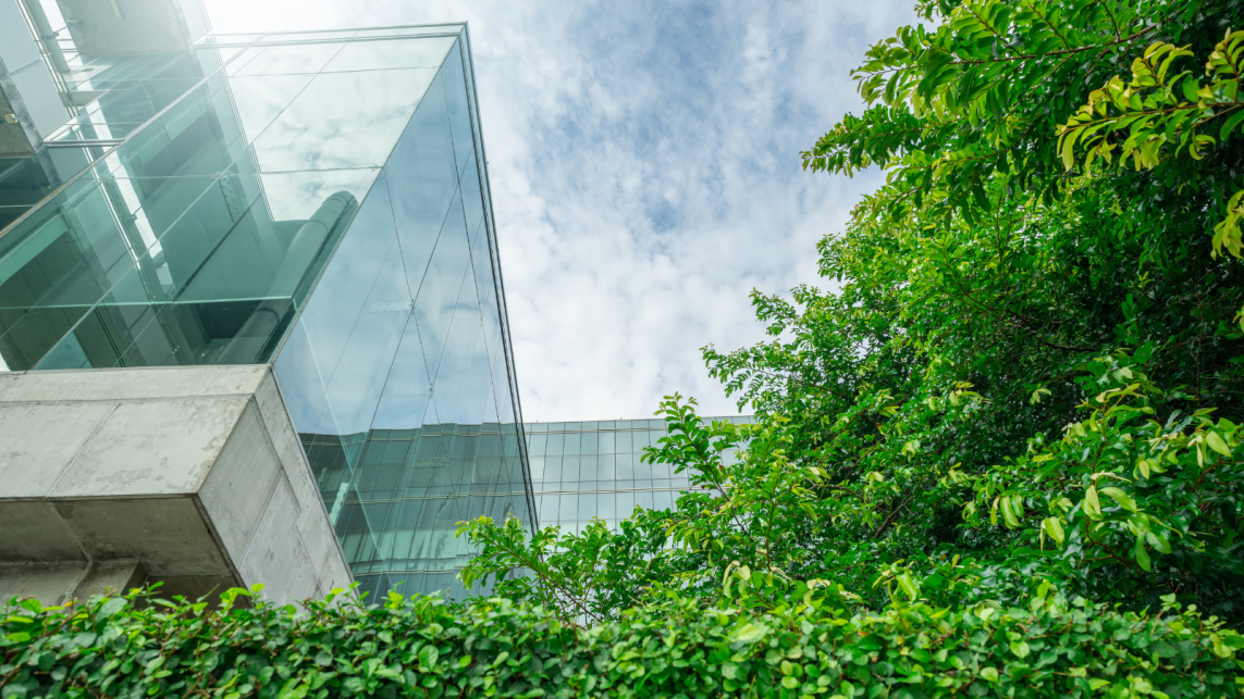 Picture of a futuristic glass building next to think bush of tropical trees
