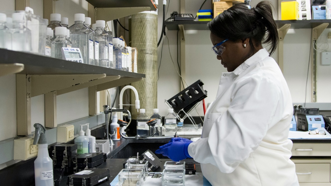 A scientist works in their lab