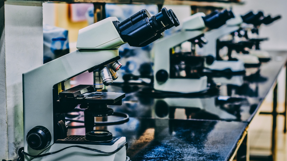 Microscopes stand in a line on a table in a lab