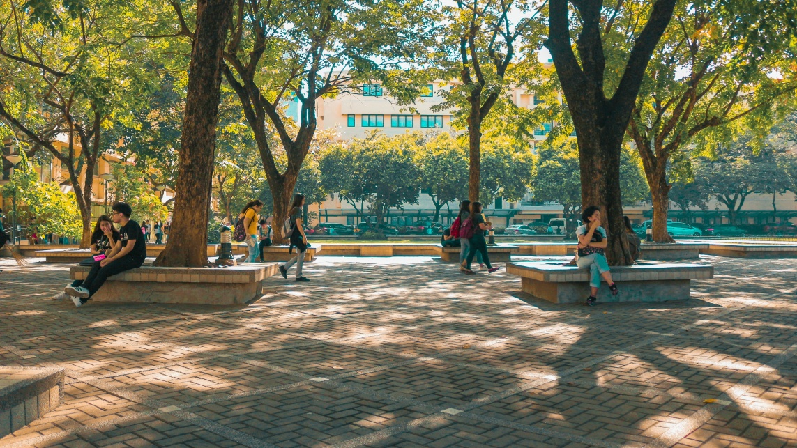 An outdoor scene with people sitting near some trees in the sun