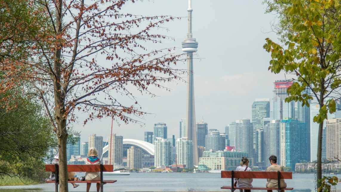 The Toronto skyline pictured from a park across the river