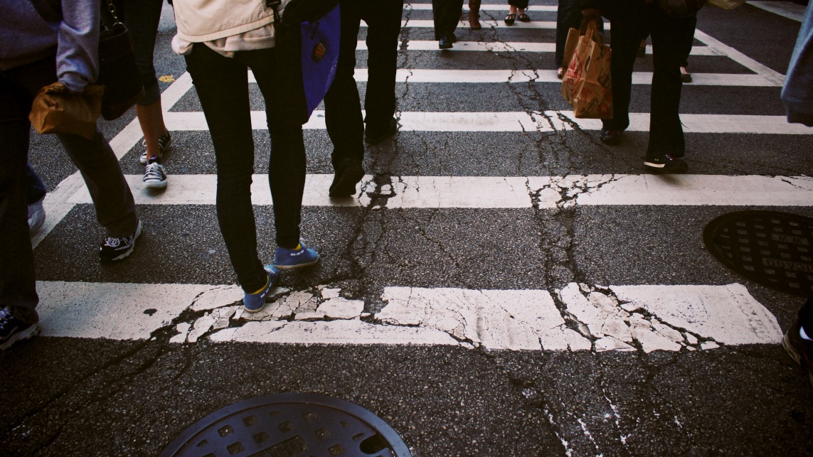 Zebra crossing with multiple legs and feet 