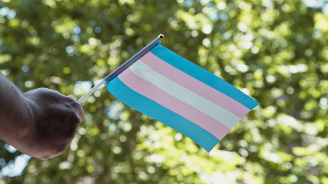 Hand waving a trans pride flag