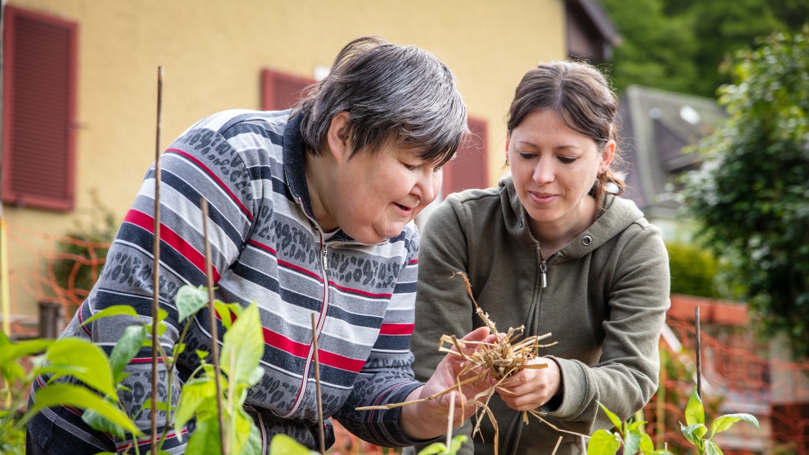 Two women stood over a plant bed, one woman is handing a bundle of straw to the other.