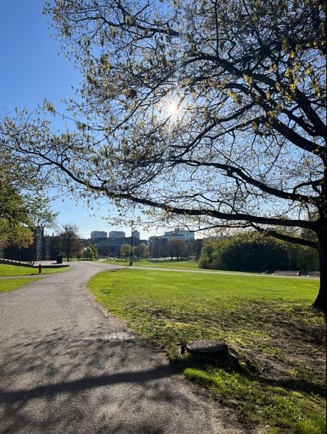 A park at the University of Waterloo, with a path leading towards buildings in the distance, and grass and trees either side.