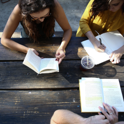 Students reading books on a park bench