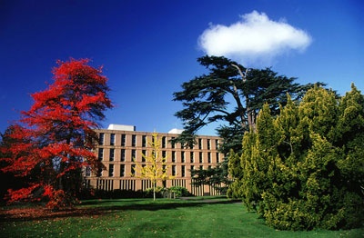 Beautiful autumn colour on the University of Reading's Whiteknights Campus. © University of Reading