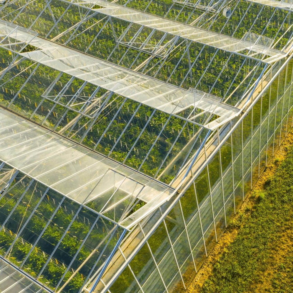 Aerial view of glasshouses 