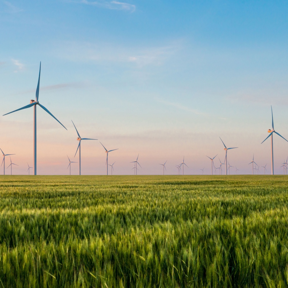 Windmill farm with sunset in background.