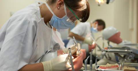Dental students practicing on dummies