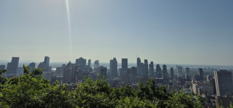 Montreal skyline featuring skyscrapers and a blue sky